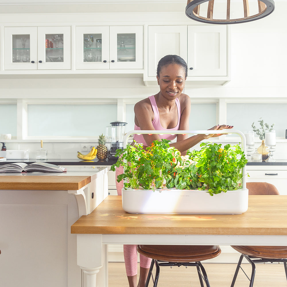 Click & Grow Smart Garden 9 Indoor Kräutergarten Szene Küche Frau