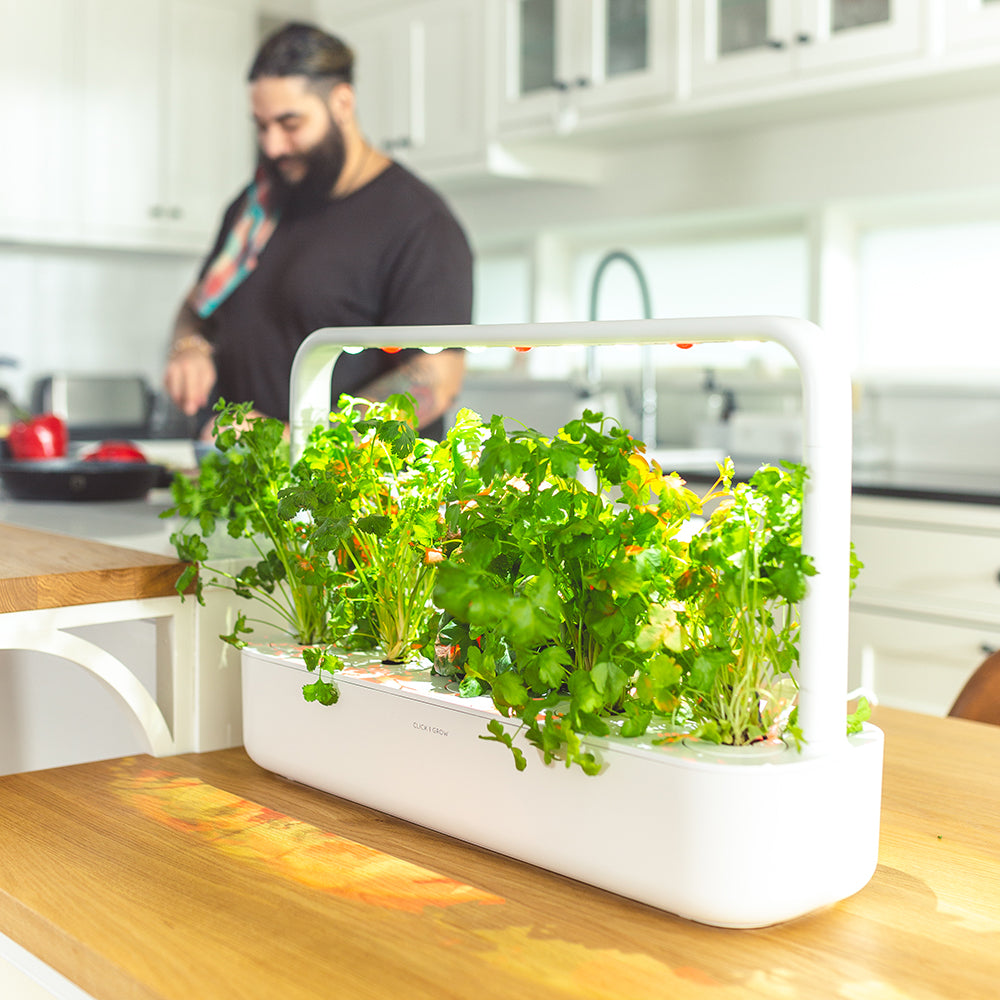 Click & Grow Smart Garden 9 Indoor Kräutergarten Szene Küche Mann kocht