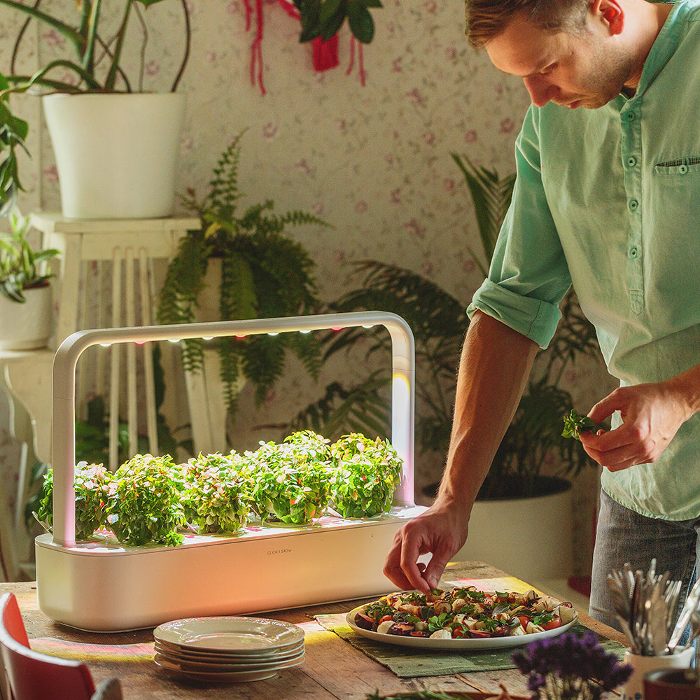 Click & Grow Smart Garden 9 Indoor Kräutergarten Szene Küchentisch Salat Mann kocht
