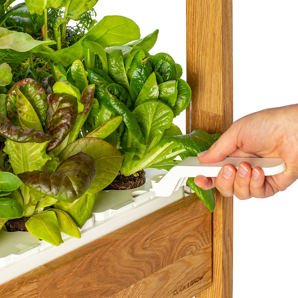 Click & grow 25 Indoor Kräutergarten Griff