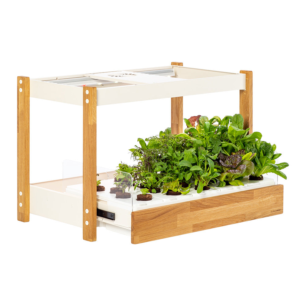 Click & grow 25 Indoor Kräutergarten Schublade offen