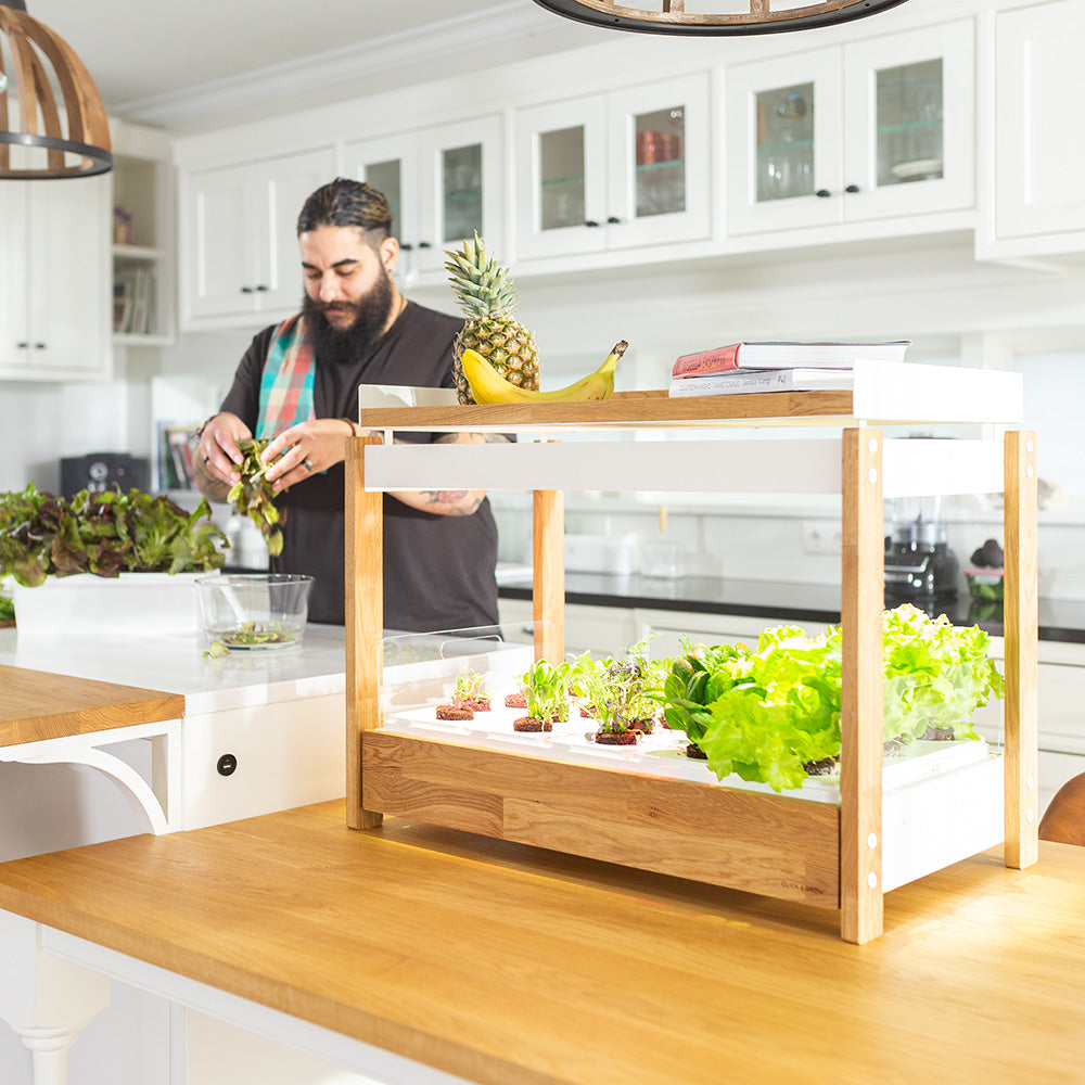 Click & grow 25 Indoor Kräutergarten Szene Küche Mann