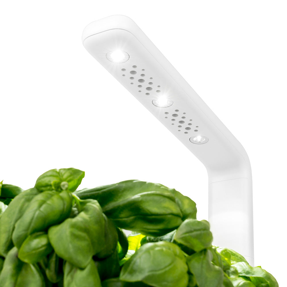 Click & grow Smart Garden 3 Indoor Kräutergarten Lampen
