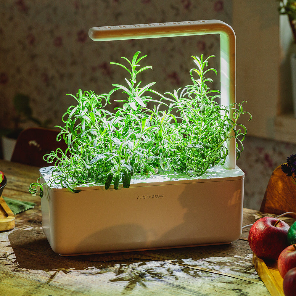 Click & grow Smart Garden 3 Indoor Kräutergarten Szene Küchentisch