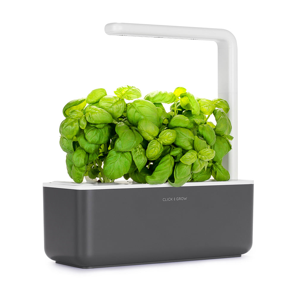 Click & grow Smart Garden 3 Indoor Kräutergarten grau