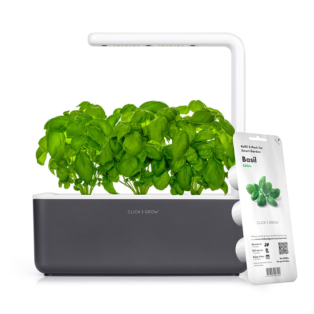 Click & grow Smart Garden 3 Indoor Kräutergarten grau mit Basilikum Refill