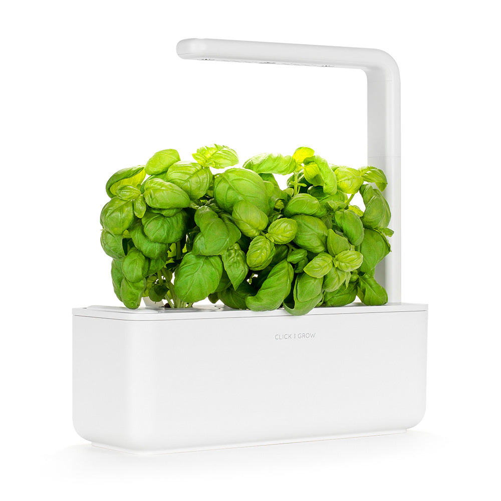 Click & grow Smart Garden 3 Indoor Kräutergarten weiß mit Basilikum