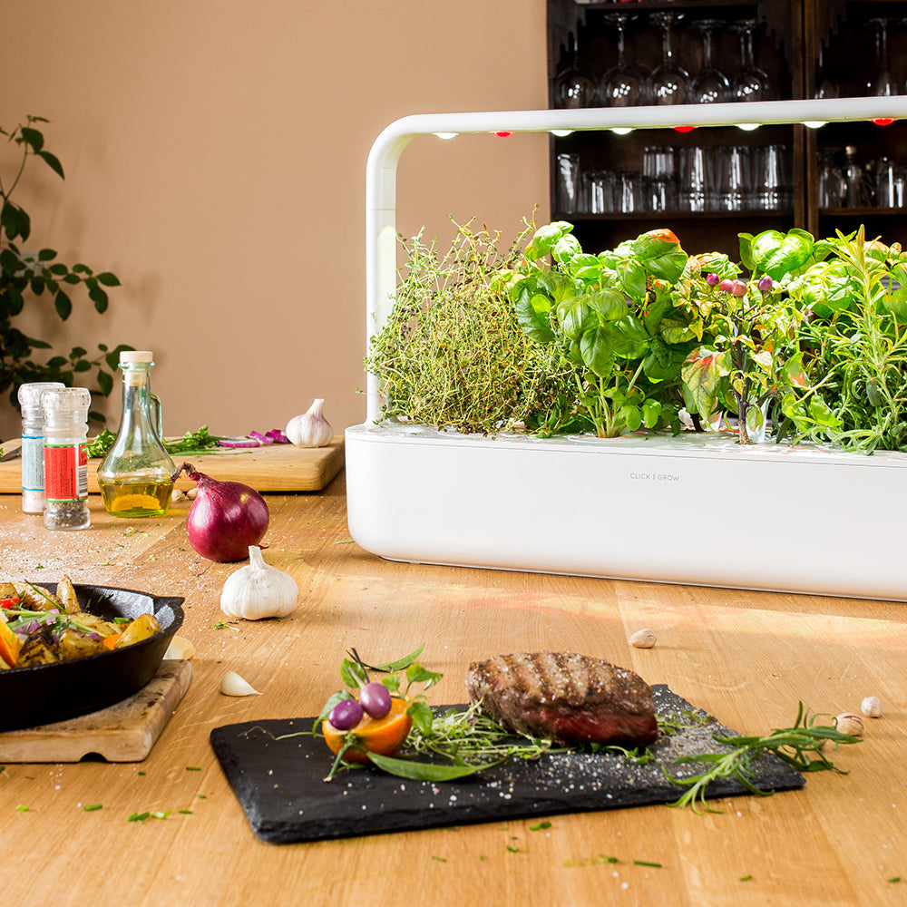 Click & Grow Smart Garden 9 Indoor Kräutergarten Szene Küche Essen