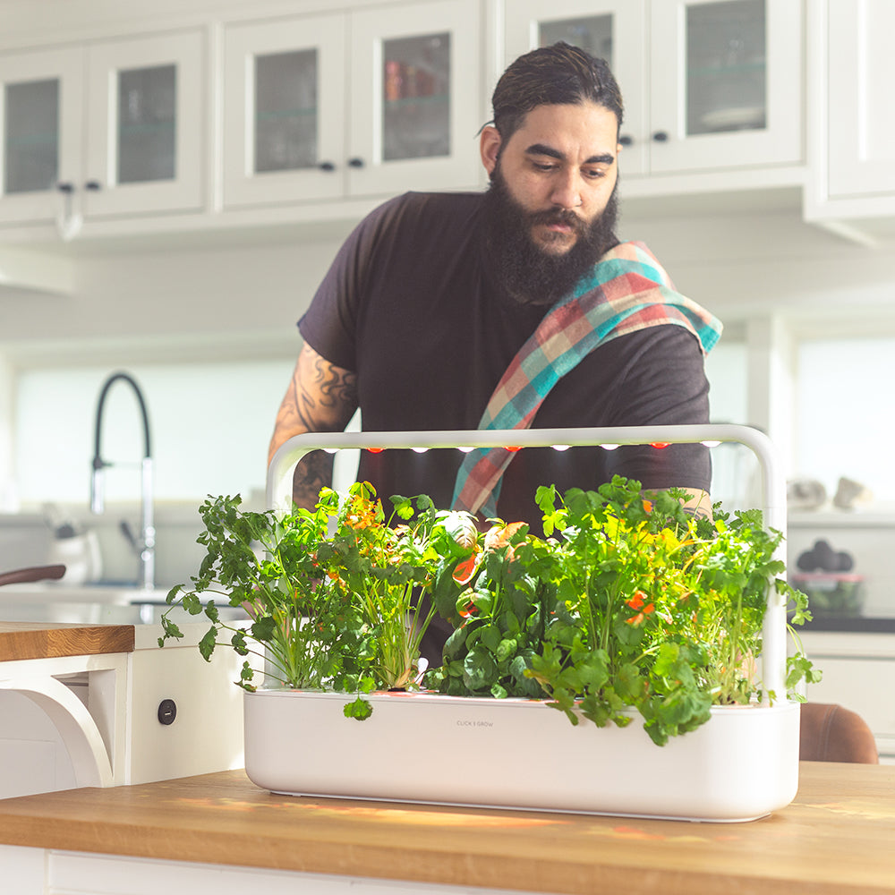Click & Grow Smart Garden 9 Indoor Kräutergarten Szene Küche Mann pflückt Kräuter