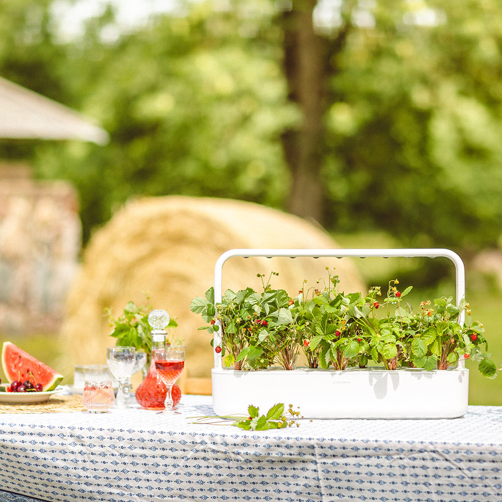 Click & Grow Smart Garden 9 Indoor Kräutergarten Szene Outdoor Gartentisch