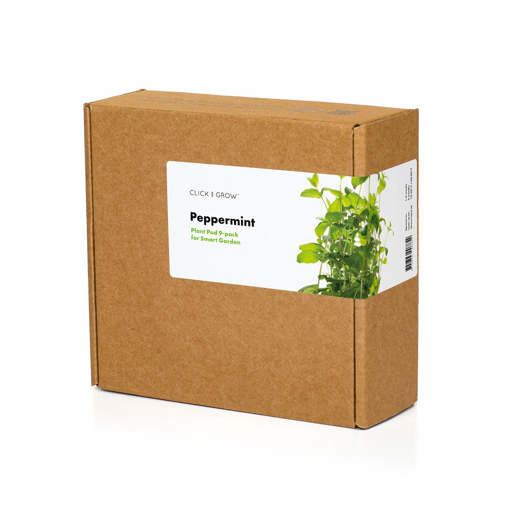 Click & grow Pflanzkapsel Pfefferminz 9er Packung