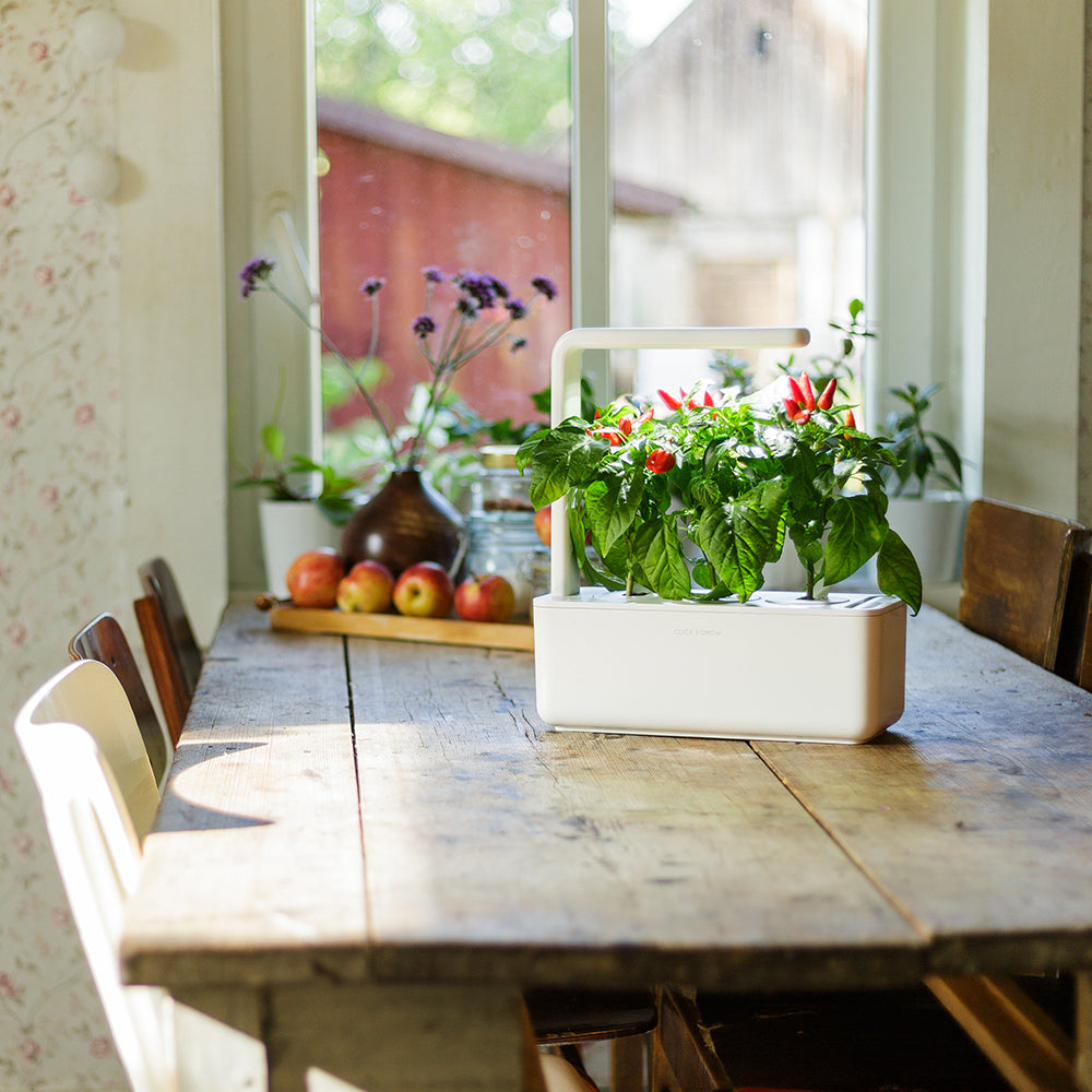 Click & grow Smart Garden 3 Indoor Kräutergarten Szene Küchentisch Indoor