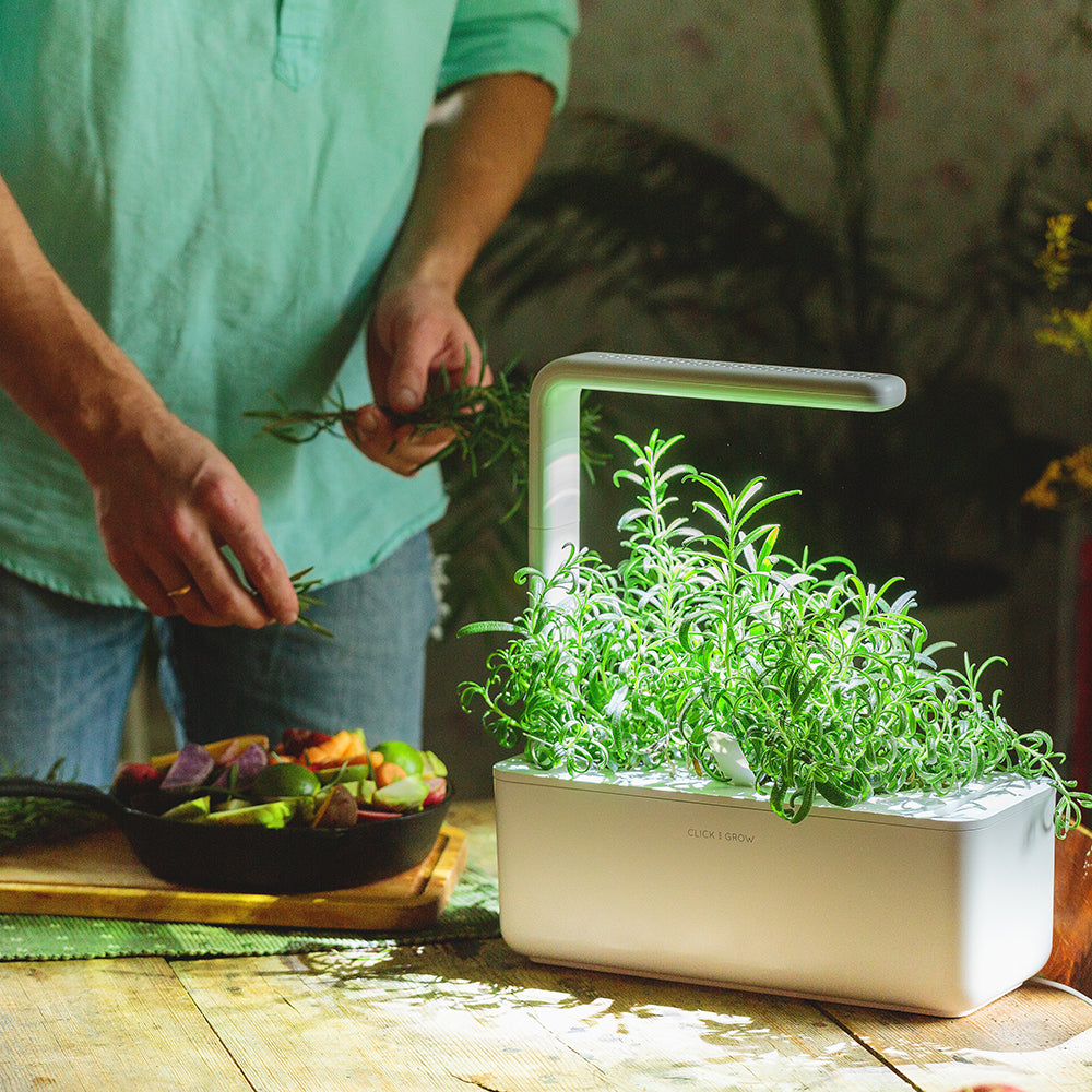 Click & grow Smart Garden 3 Indoor Kräutergarten Szene Mann kocht