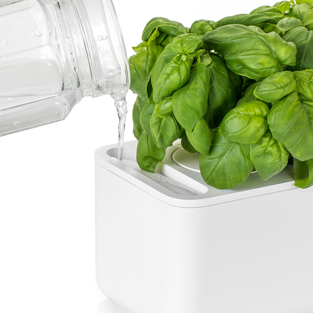 Click & grow Smart Garden 3 Indoor Kräutergarten Wassertank