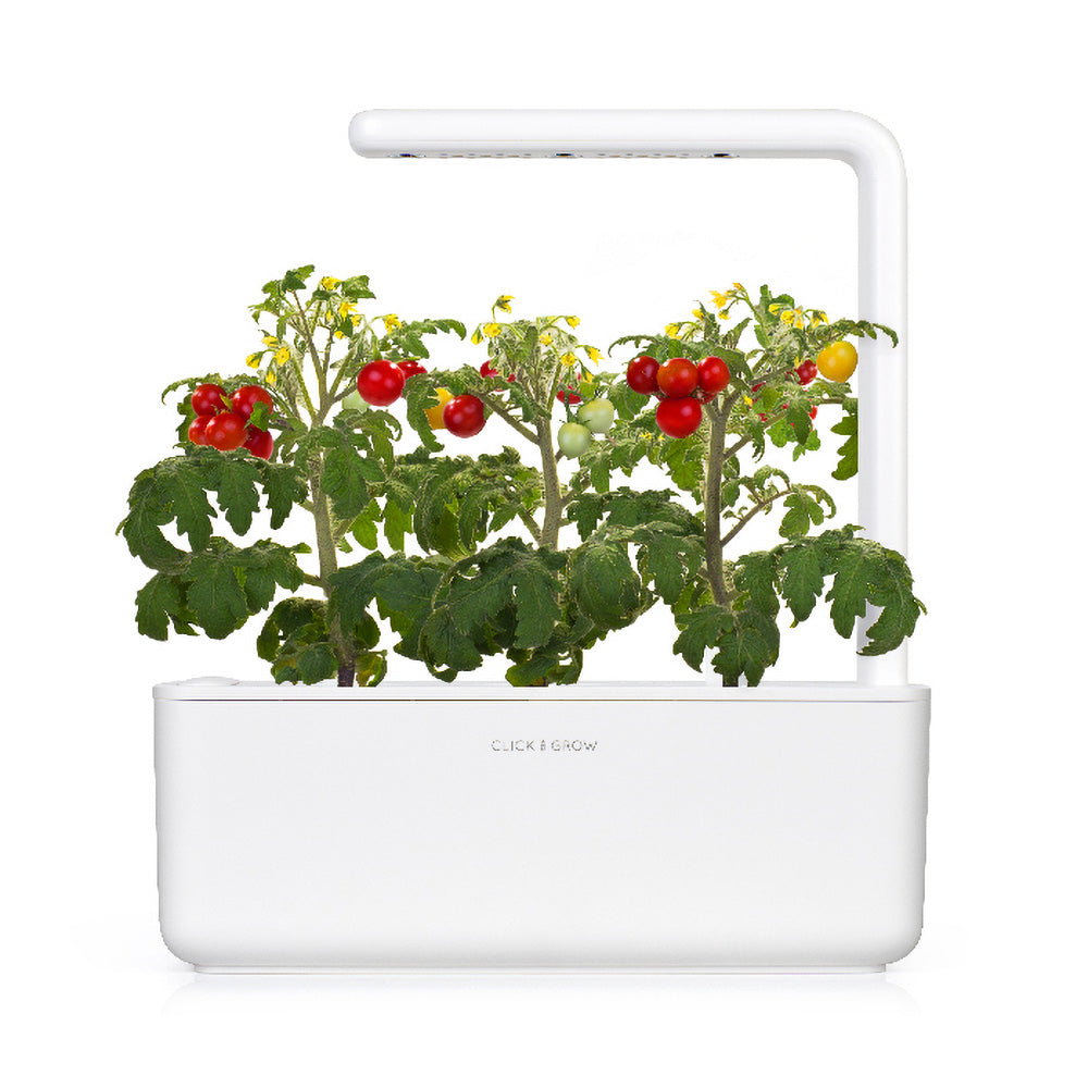 Click & grow Smart Garden 3 Indoor Kräutergarten weiß mit Tomaten